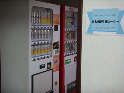 Green Hill Kagoshima - 11