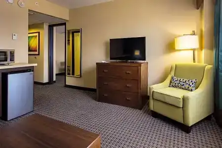 Holiday Inn Houston Downtown, An Ihg - 107