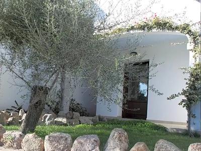 Nuraghe Arvu - 85