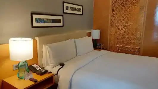 Crowne Plaza Jaipur Tonk Road, An Ihg - 60