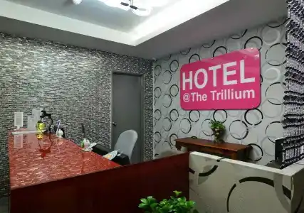 Trillium - 14