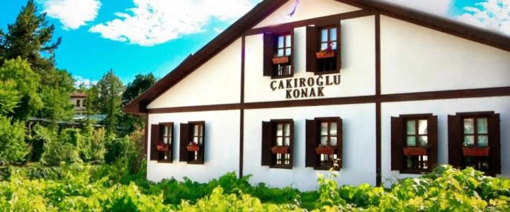 Cakiroglu Konak - 11