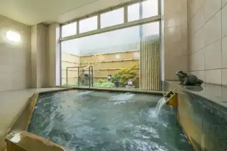 Takayama City Four Seasons - 11