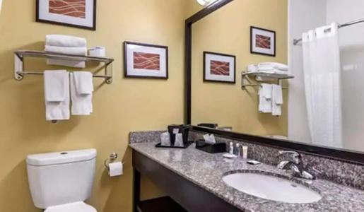 Comfort Inn & Suites - 62