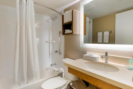 Staybridge Suites - Orlando Royale Parc Suites, An Ihg - 7