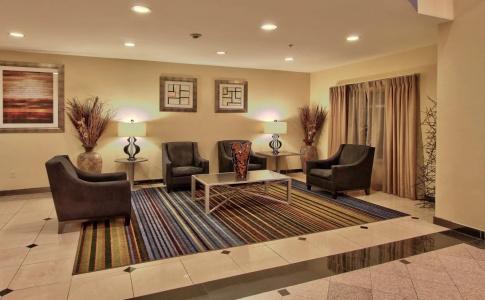 Holiday Inn Express & Suites Houston-Downtown Convention Center, An Ihg - 11