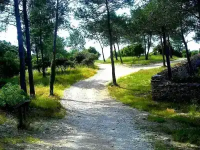 Bois des Espeisses - 4