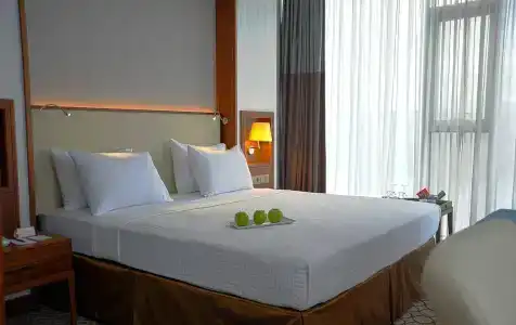 Anemon Samsun - 5