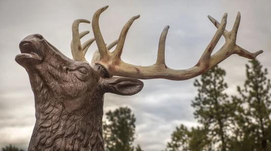 Elktrace - 109