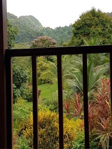 Phanom Bencha Mountain Resort - 25