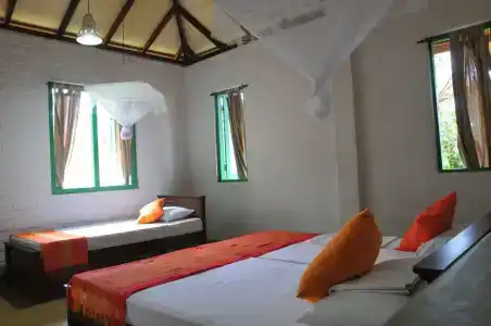 Back of beyond - Wellness Retreat - 4