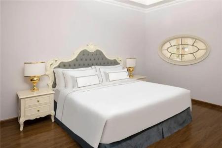 Vinpearl Rivera Hai Phong - 4