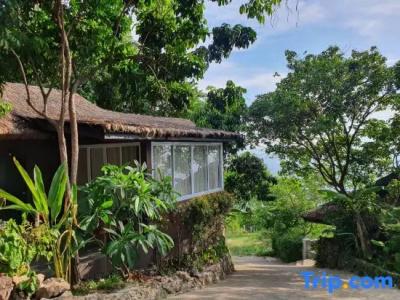 Haad Chao Phao Resort - 103