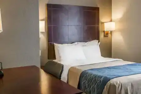 Comfort Inn - 45