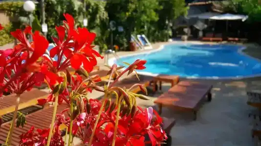Residence Villaggio Verde - 6