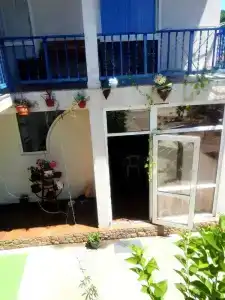 Вукни Рай - 0