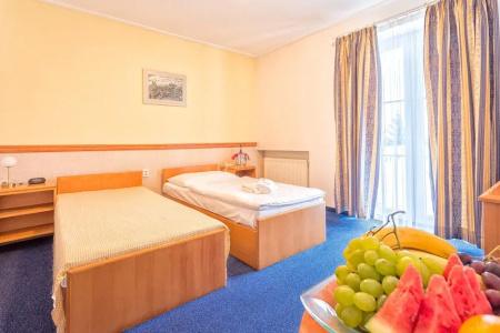 Prague Carl Inn restaurant & Free Parking - 6