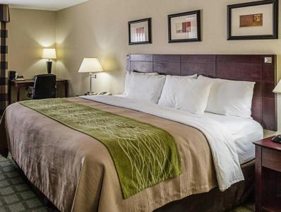 Comfort Inn & Suites Southwest Freeway at Westpark - 45