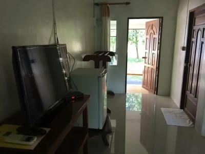 Lunda Orchid - 46