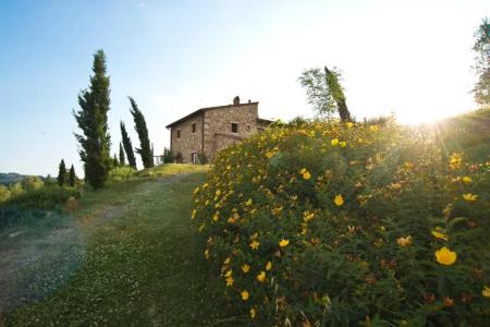Agriturismo Podere Campaini - 67