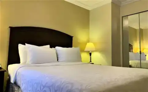 Best Western Plus - 78