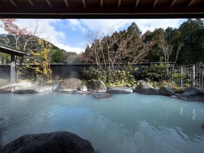 Unzen Onsen Seiunso - 7