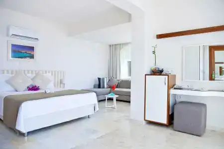 Olea Nova - 3
