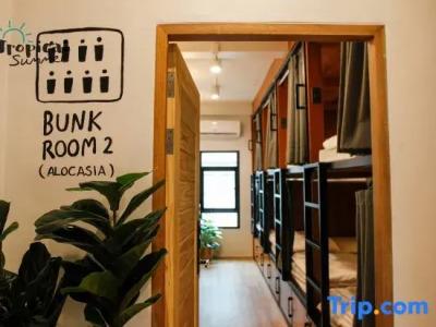 Tropical Summer Hostel - 38