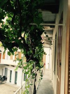 Albergo San Lorenzo - 14