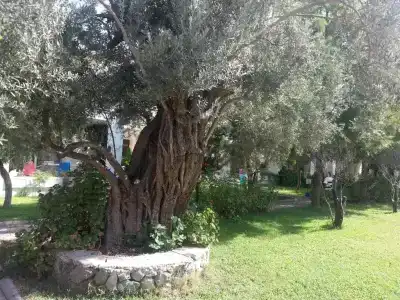 Muskebi Apart Otel - 31