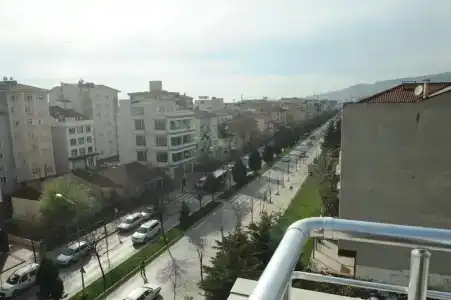 Teona - 12