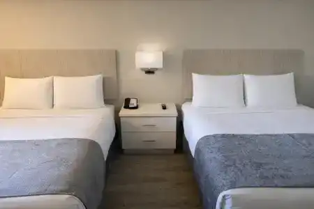 SureStay Plus by Best Western Orlando International Drive - 39