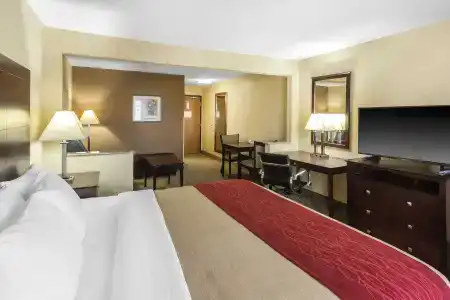 Comfort Inn & Suites - 63