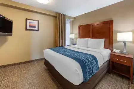 Comfort Inn & Suites Beach - 48