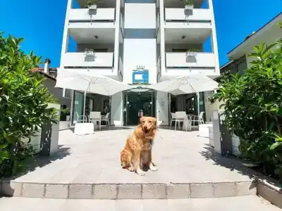 The One - Pet Friendly - Adult Only - 20