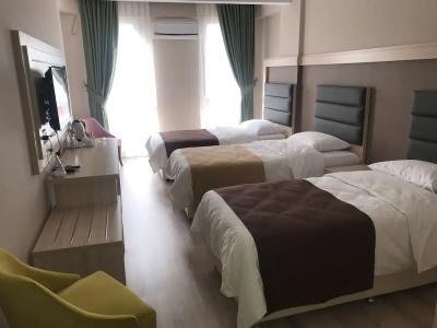 Samsun Osmanlı Otel - 3