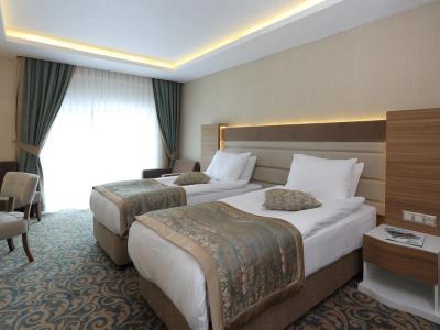 Cam Thermal Resort & Spa - 3