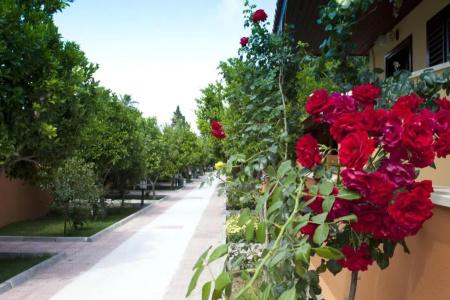 Ozlem Garden - 66