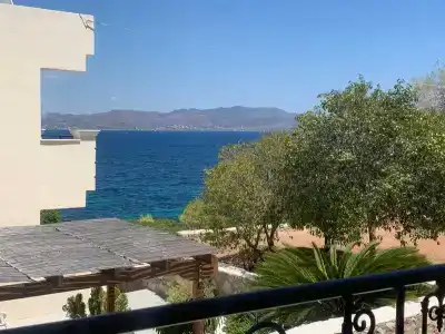 Dionysos - 97