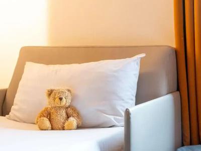 ibis Styles Toulouse Cite Espace - 66