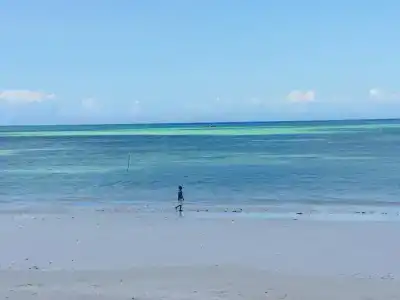 Uroa Bay Beach - 10