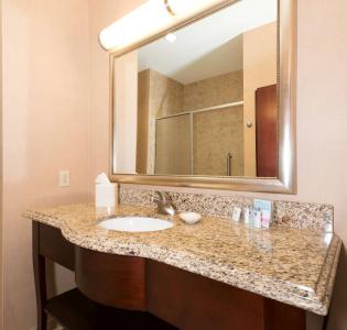 Hampton Inn & Suites I-20 - 7