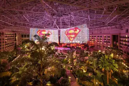 Gaylord Palms Resort & Convention Center - 48