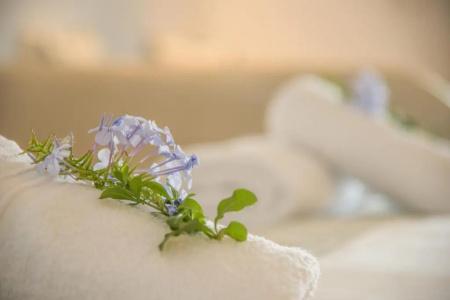 Cycladic Islands & Spa - 130