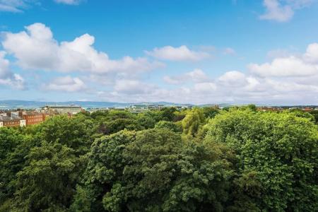 The Shelbourne, Autograph Collection - 113