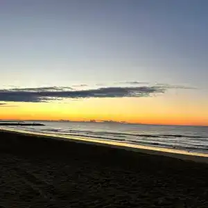 Palm Beach - 43