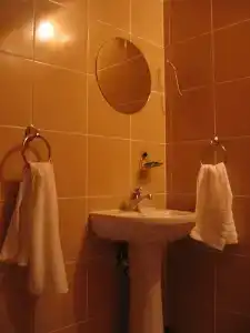 Boskovica Brvnare - 121