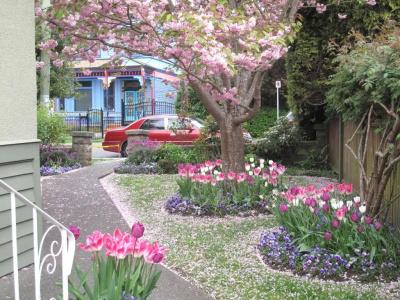 James Bay Inn, Suites & Cottage - 72