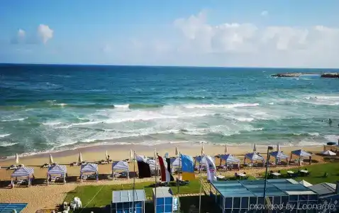 Hilton Alexandria Corniche - 31