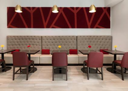 Hilton Garden Inn Long Island City - 44